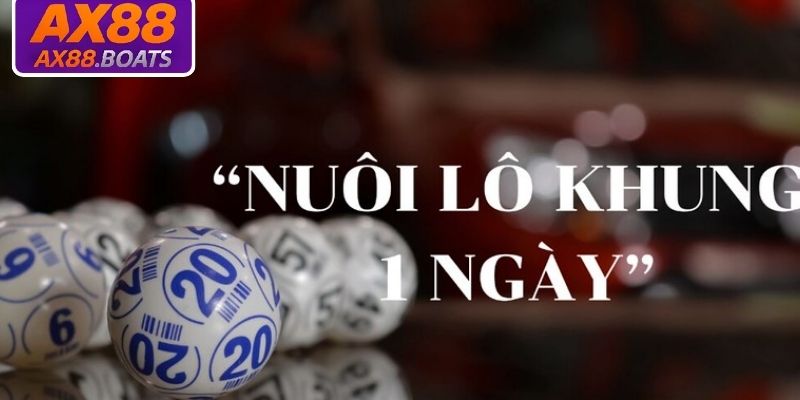 Nuôi lô khung 1 ngày